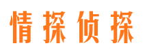 通海侦探公司